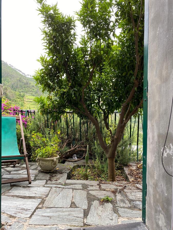 Cottage La Terrazza Levanto Exteriér fotografie