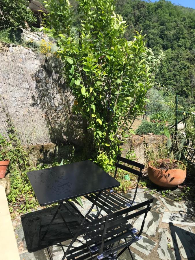 Cottage La Terrazza Levanto Exteriér fotografie